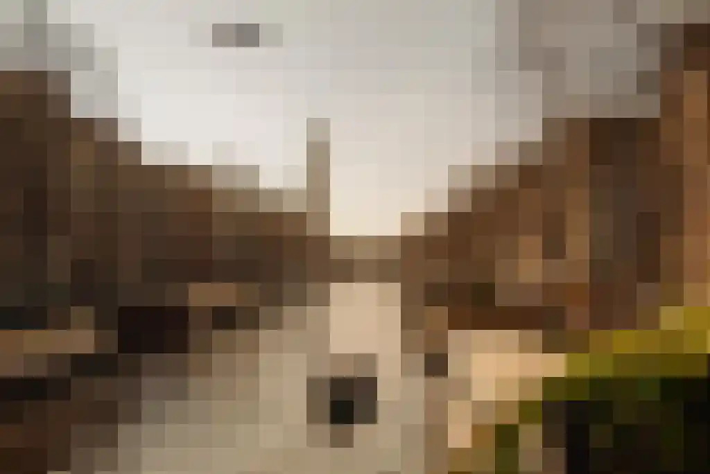 Egelantiersgracht 91 2 Amsterdam thumbnail 25