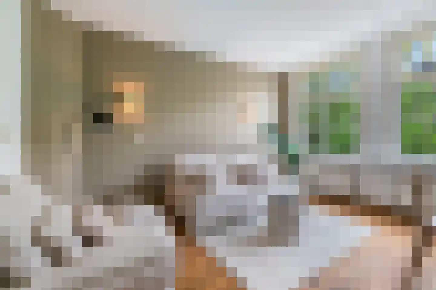 Egelantiersgracht 91 2 Amsterdam thumbnail 5