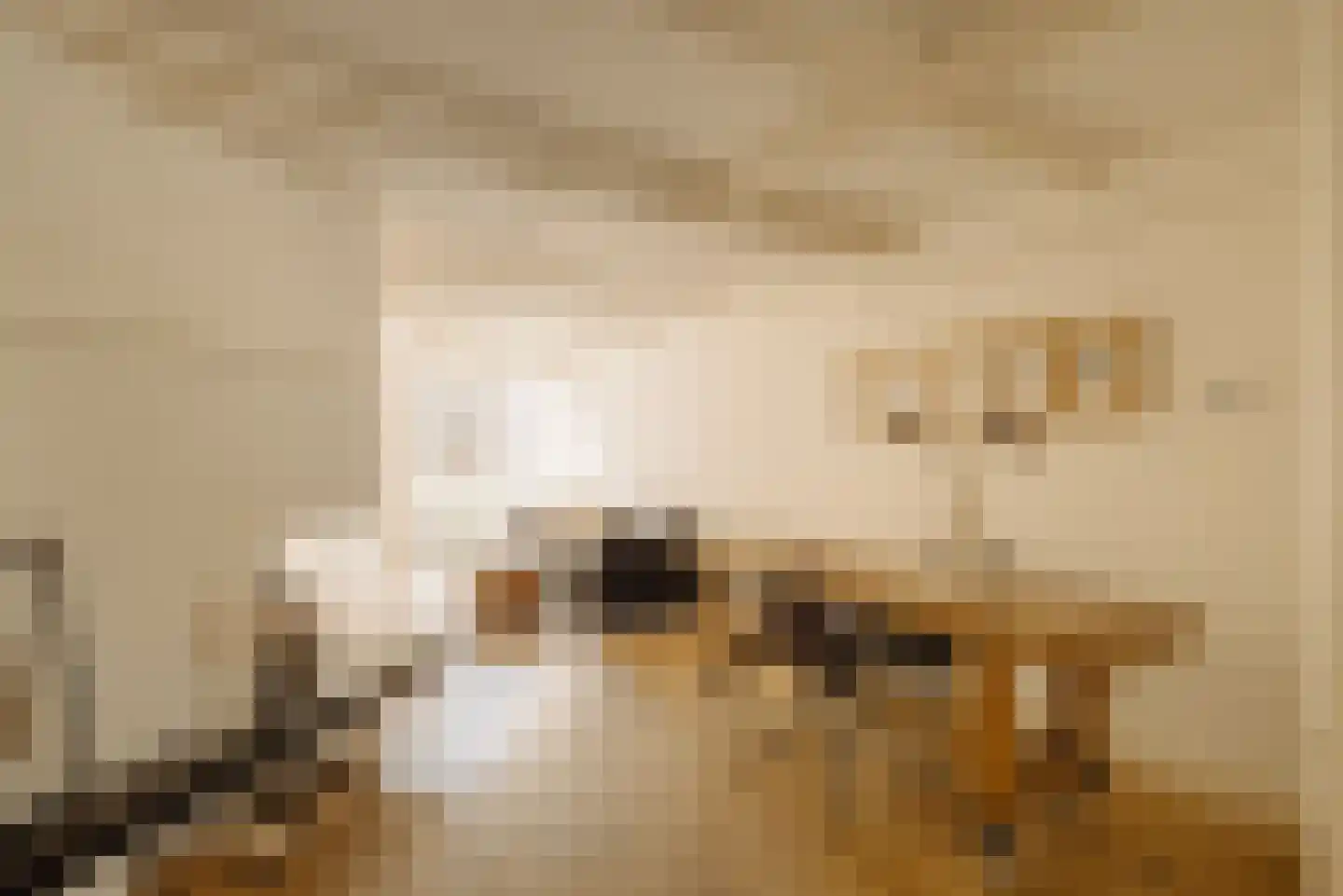 Egelantiersgracht 99 B Amsterdam thumbnail 8