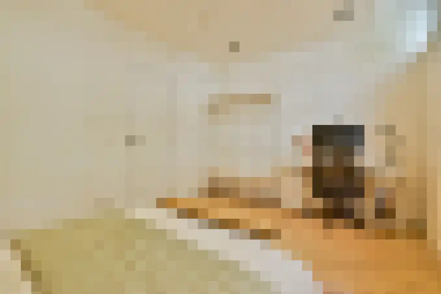 Egelantiersstraat 105 A Amsterdam thumbnail 18