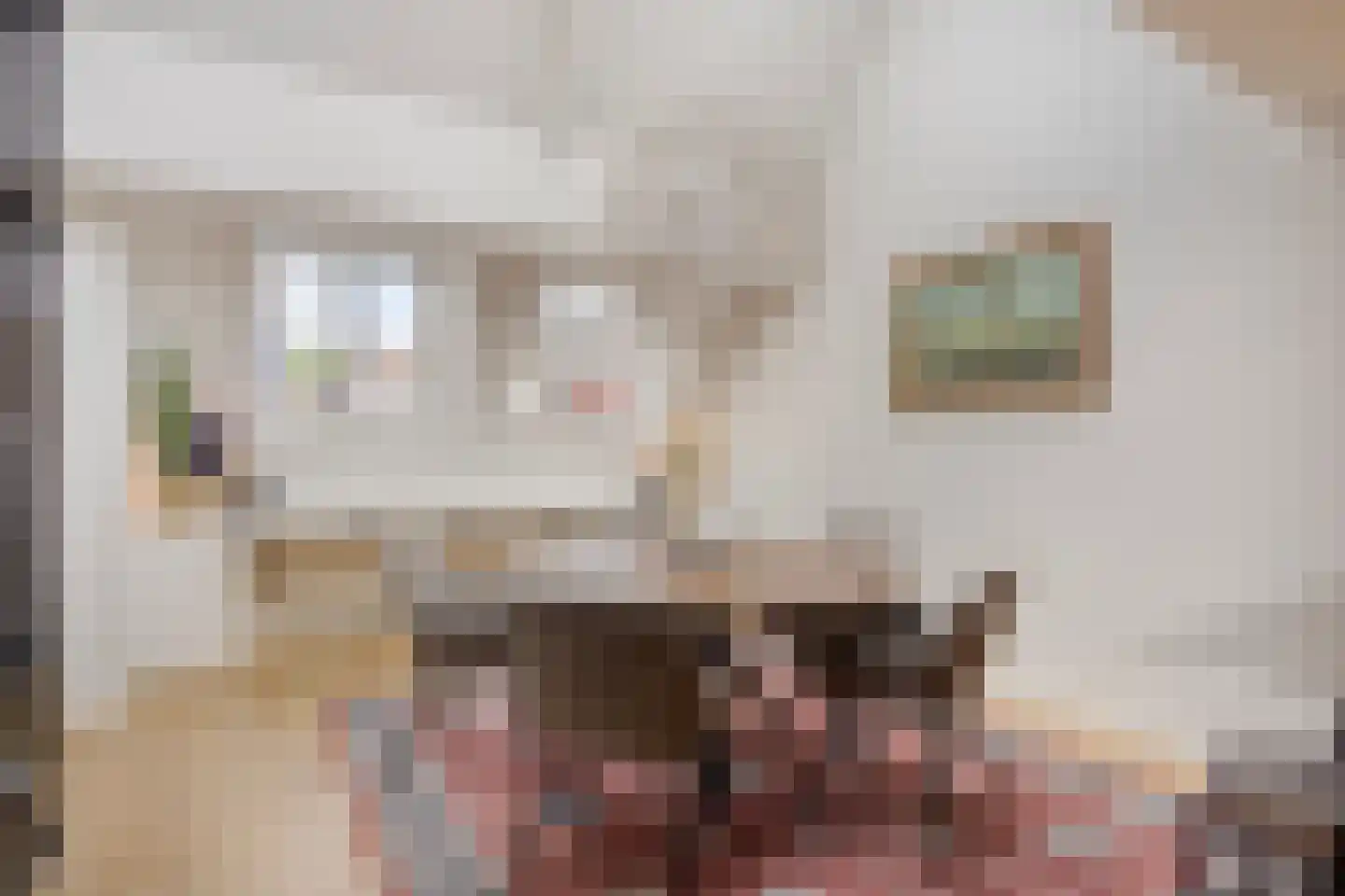 Egelantiersstraat 122 E Amsterdam thumbnail 11