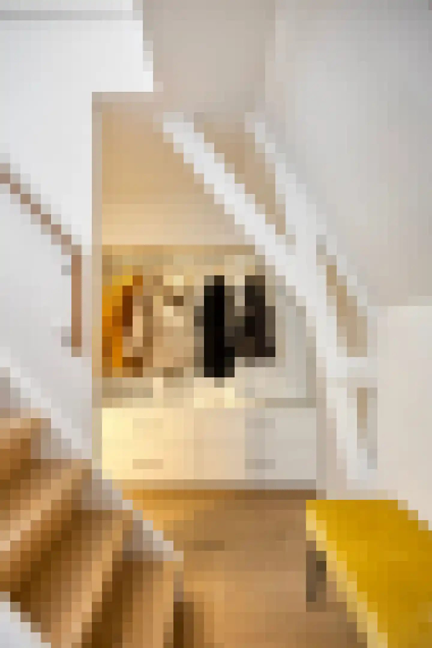 Egelantiersstraat 122 E Amsterdam thumbnail 14