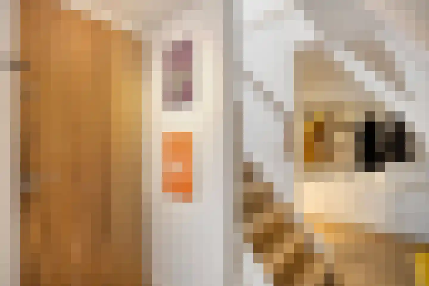 Egelantiersstraat 122 E Amsterdam thumbnail 15