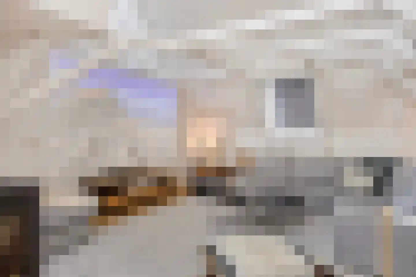 Egelantiersstraat 122 E Amsterdam thumbnail 7