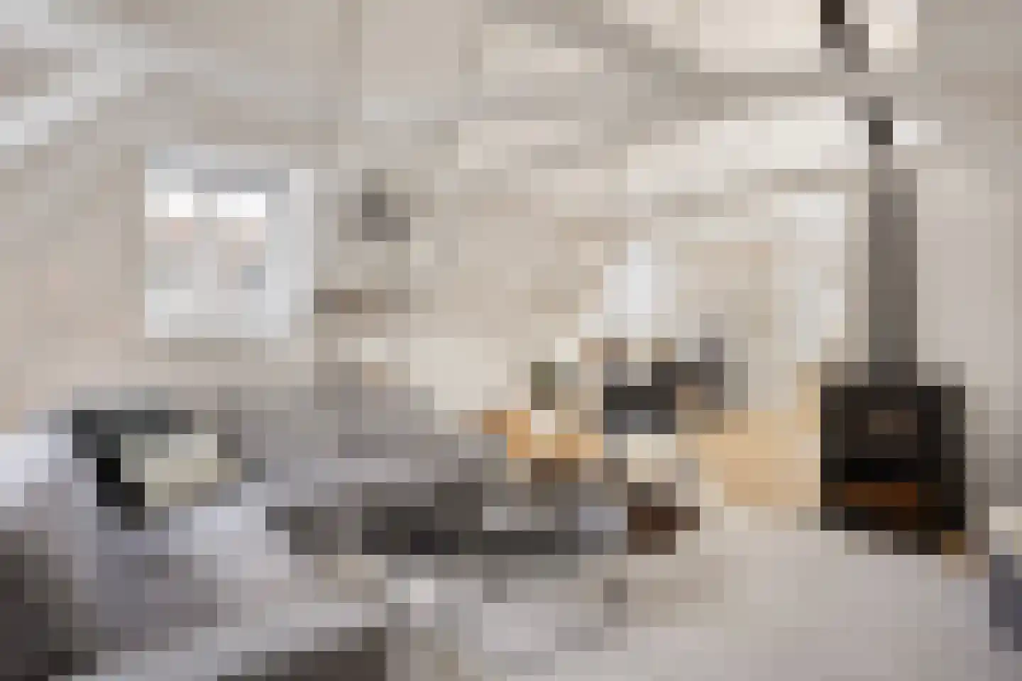 Egelantiersstraat 122 E Amsterdam thumbnail 9