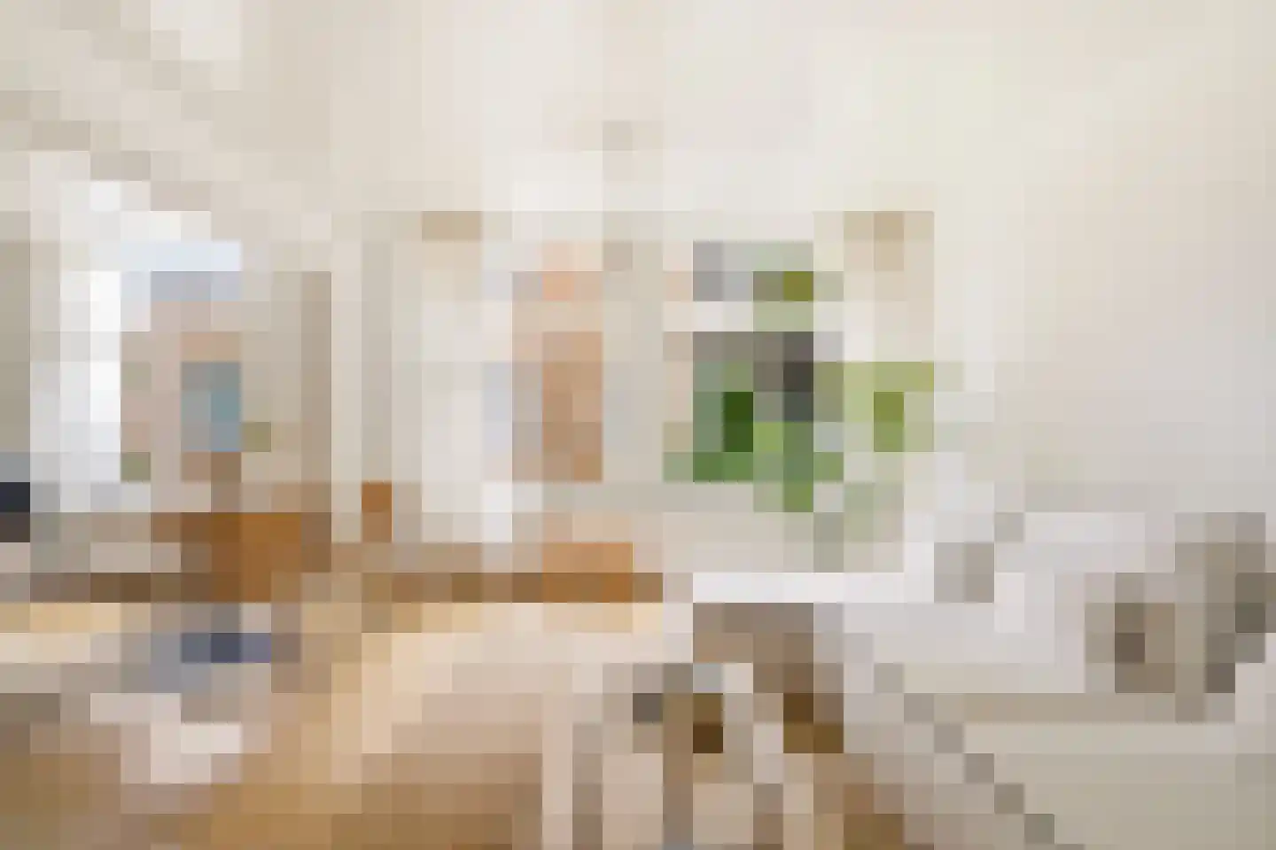 Egelantiersstraat 123 B Amsterdam thumbnail 10