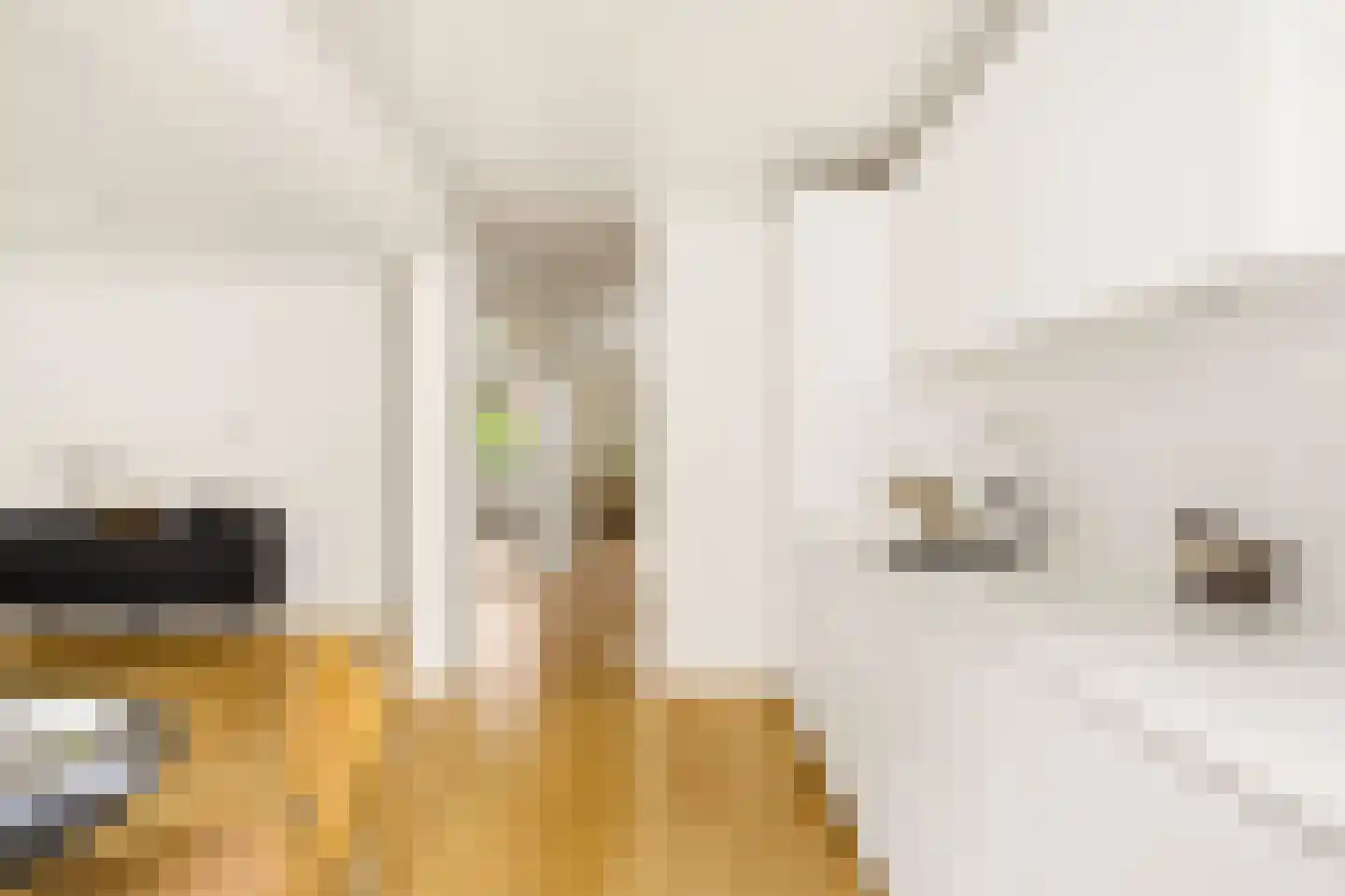 Egelantiersstraat 123 B Amsterdam thumbnail 17
