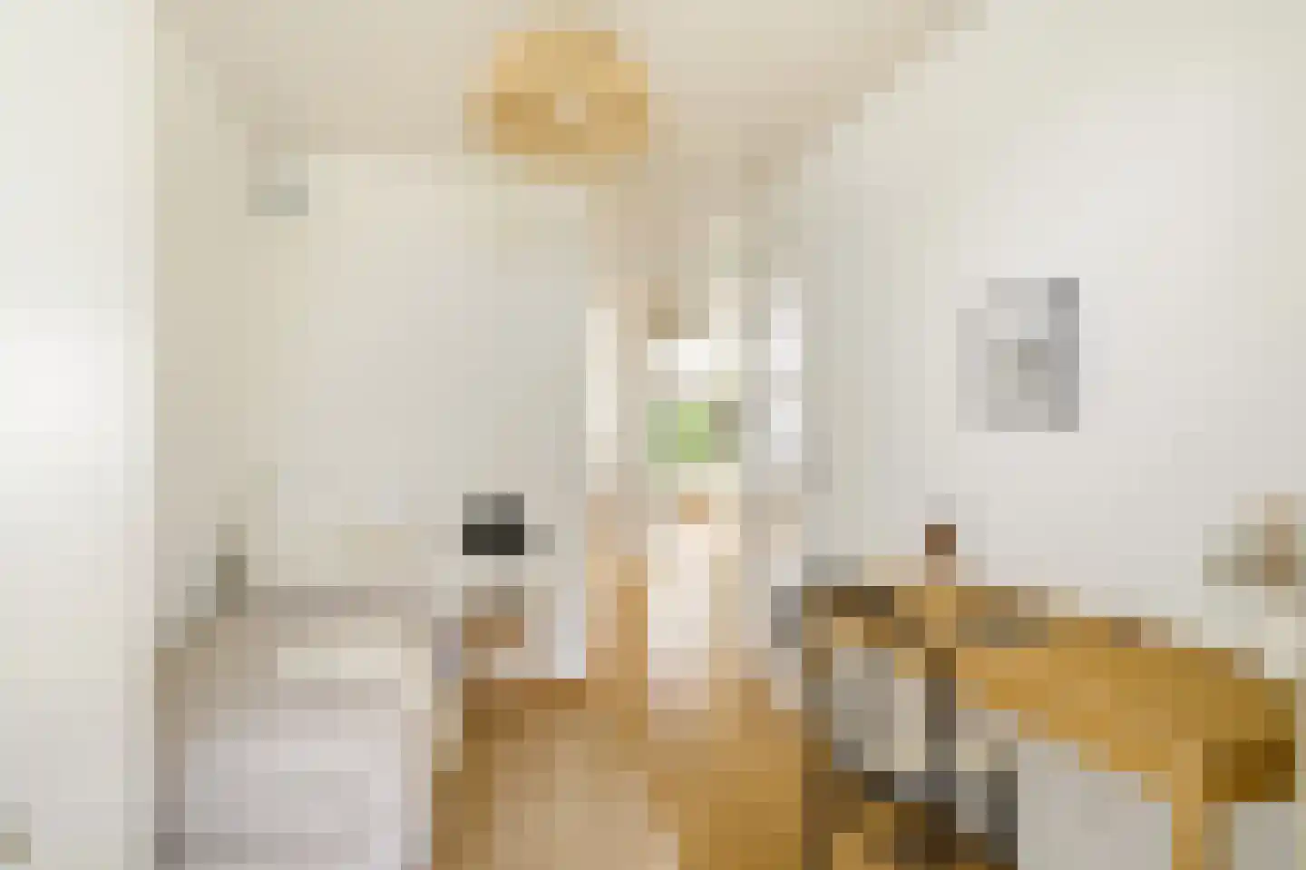 Egelantiersstraat 123 B Amsterdam thumbnail 22