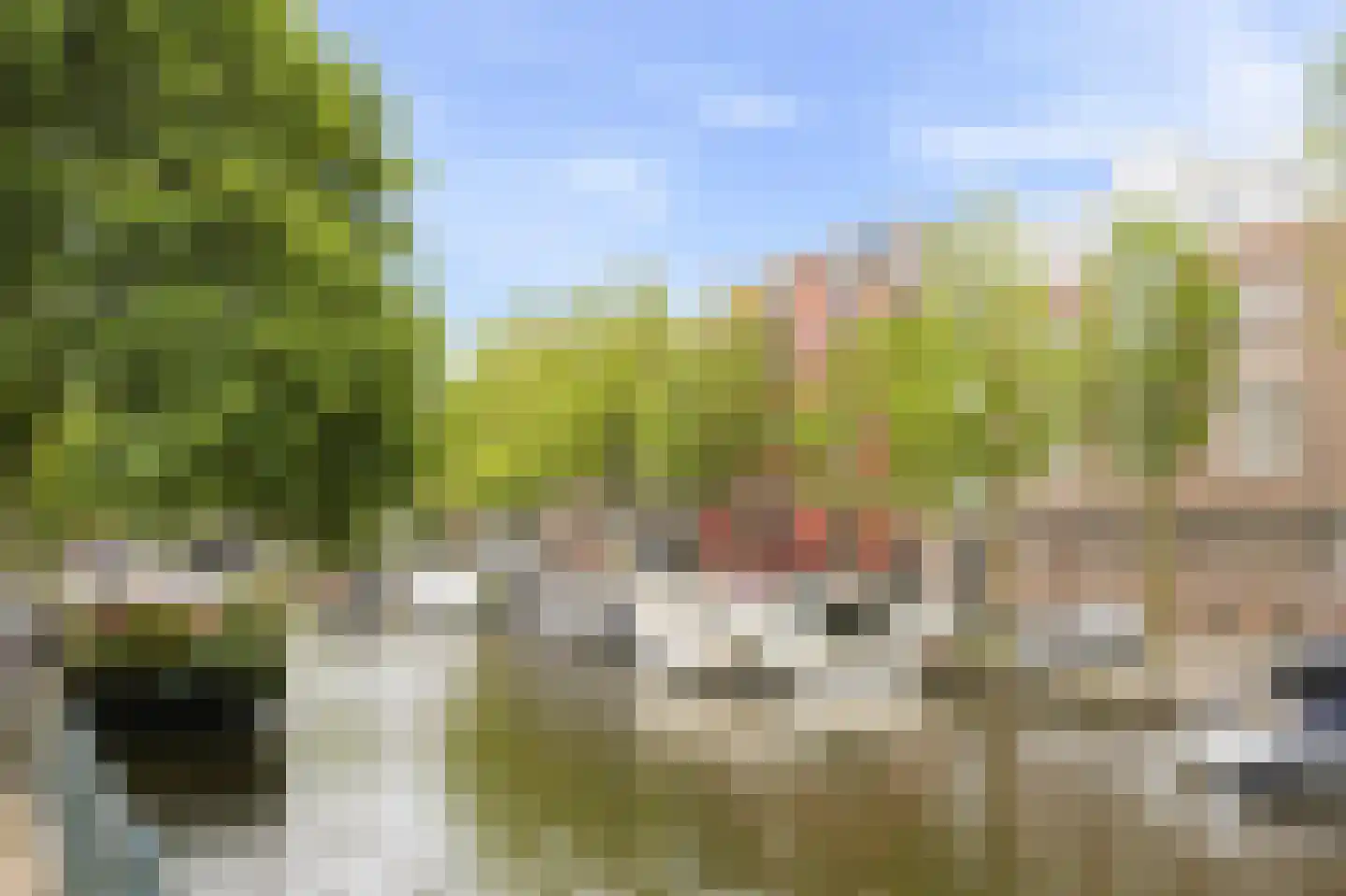 Egelantiersstraat 123 B Amsterdam thumbnail 37