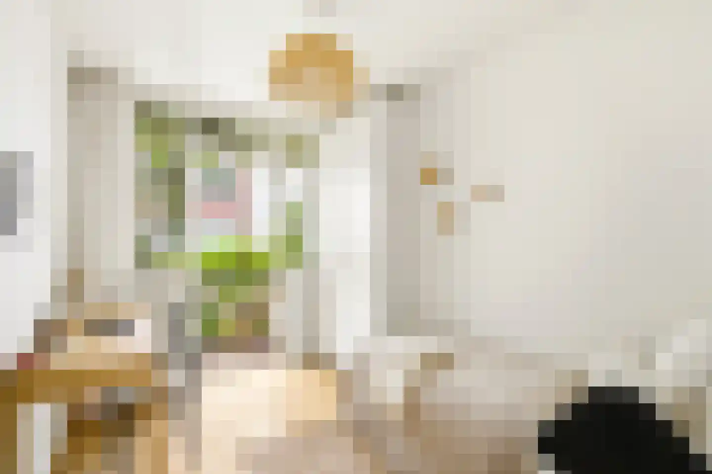 Egelantiersstraat 123 B Amsterdam thumbnail 4