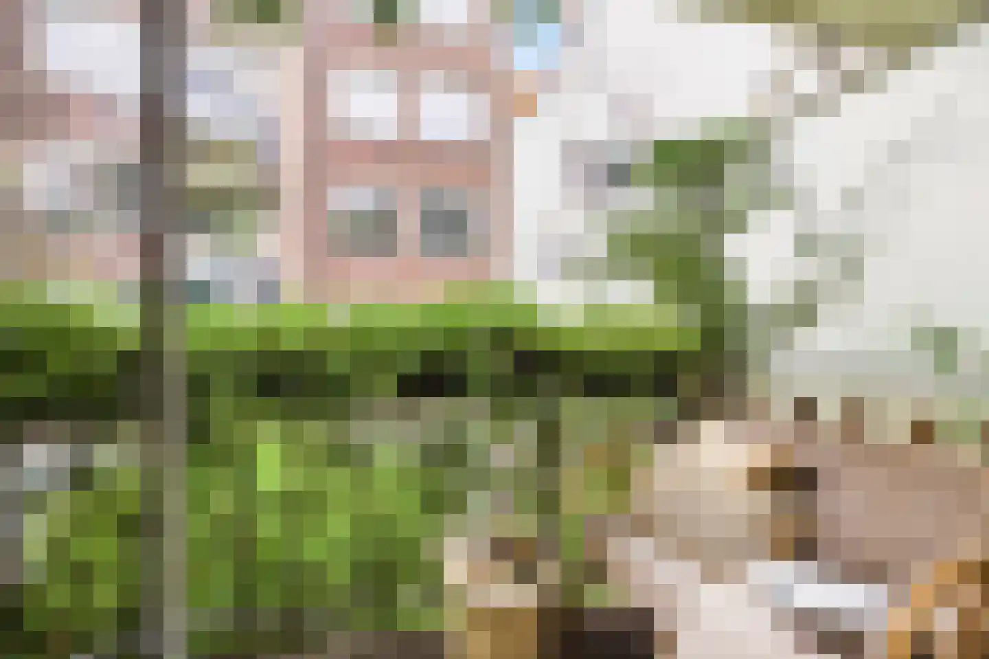 Egelantiersstraat 123 B Amsterdam thumbnail 5