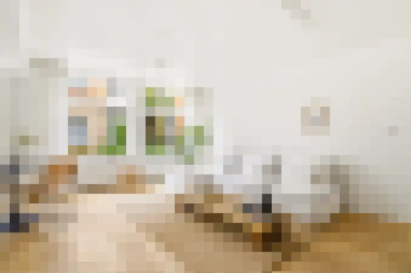 Egelantiersstraat 123 B Amsterdam thumbnail 8