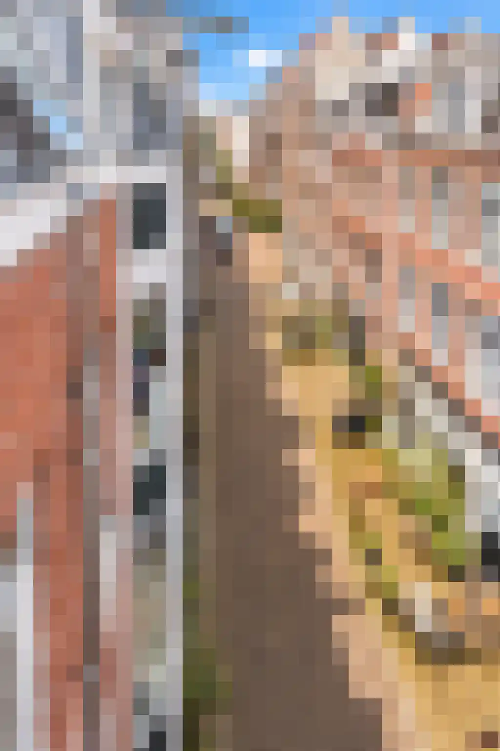 Egelantiersstraat 136 Amsterdam thumbnail 5