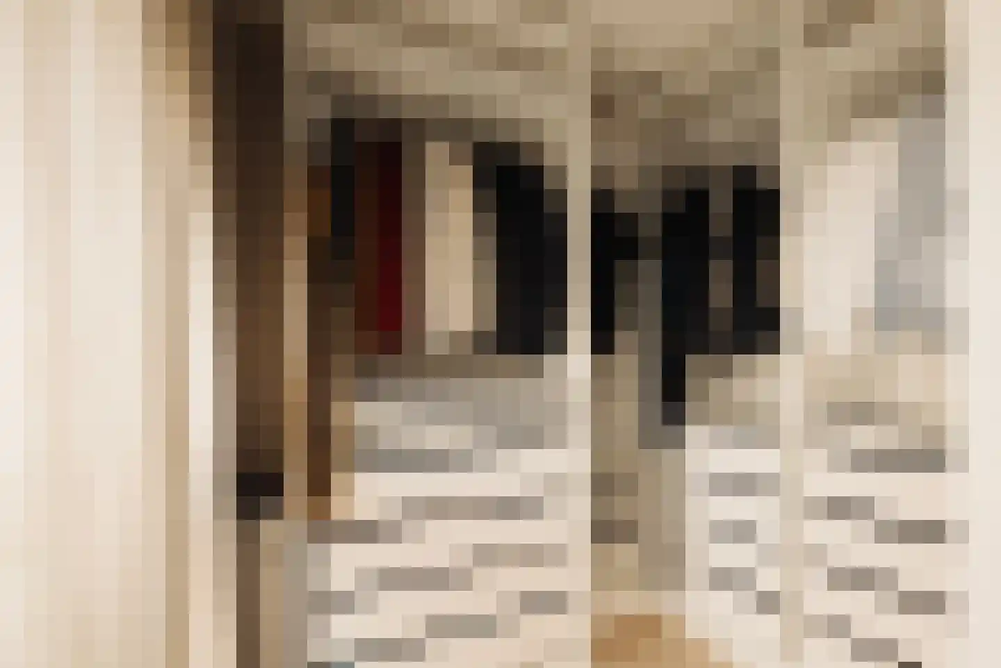 Egelantiersstraat 143 B Amsterdam thumbnail 30