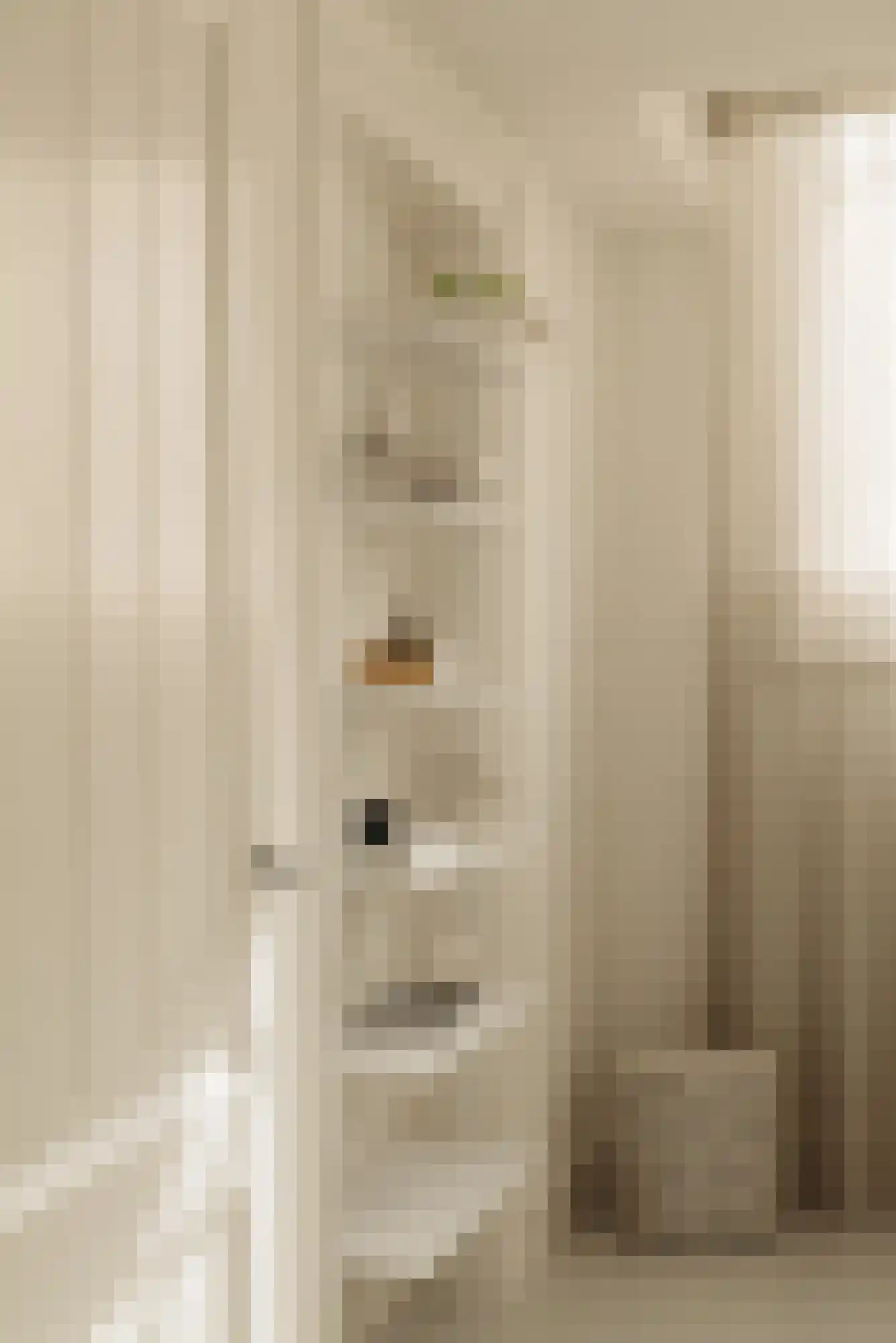 Egelantiersstraat 143 B Amsterdam thumbnail 7