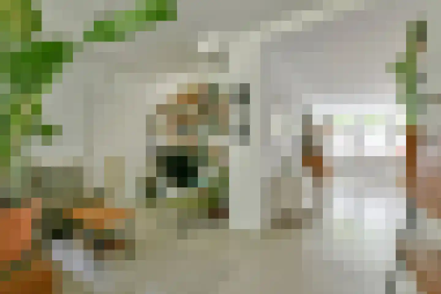 Egelantiersstraat 146 Amsterdam thumbnail 14