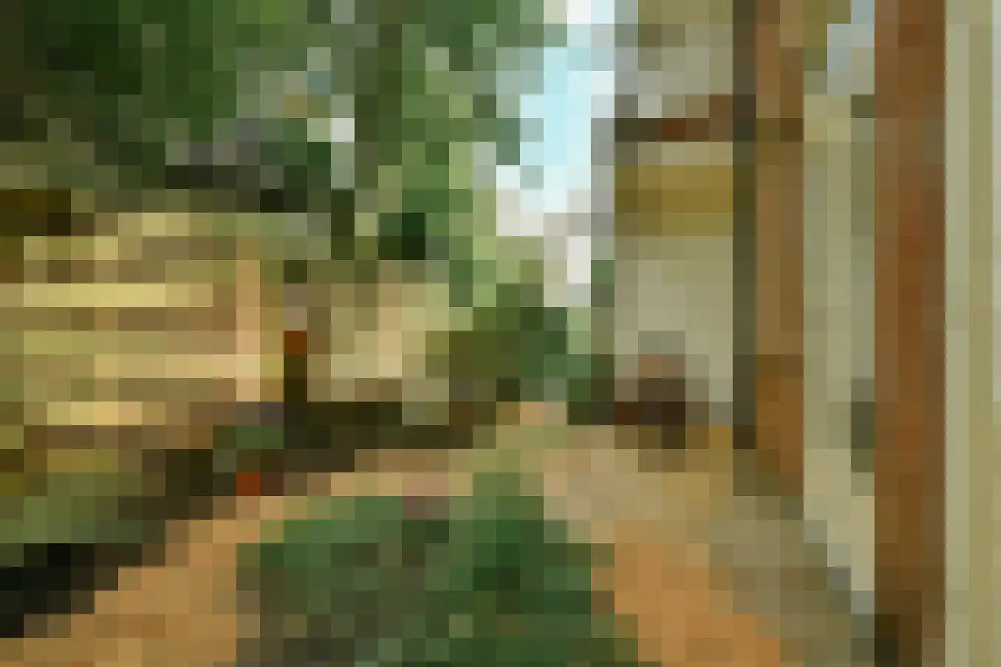 Egelantiersstraat 146 Amsterdam thumbnail 4
