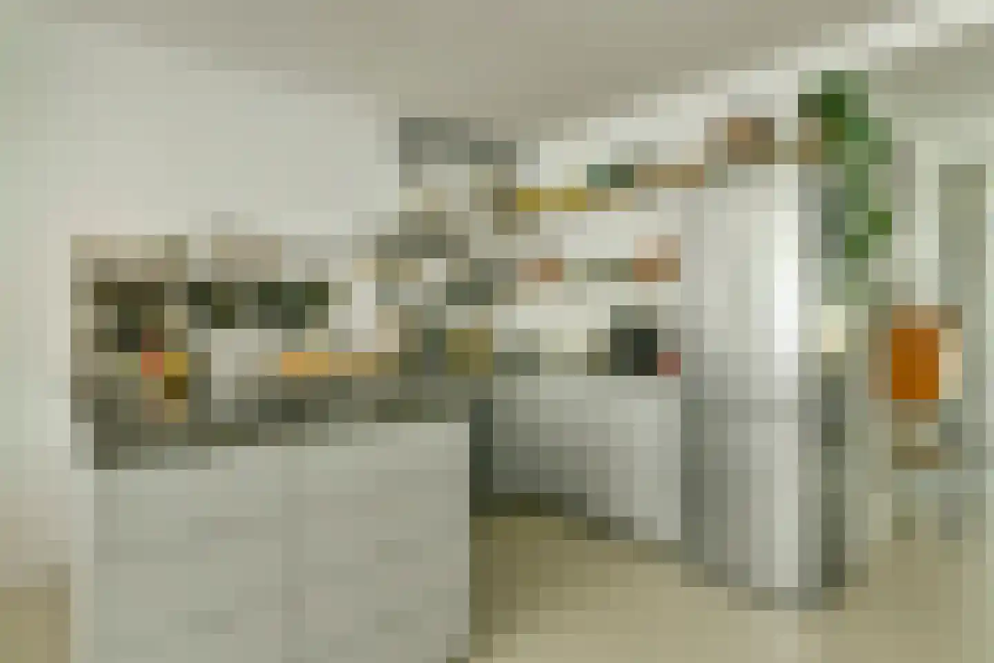 Egelantiersstraat 146 Amsterdam thumbnail 6