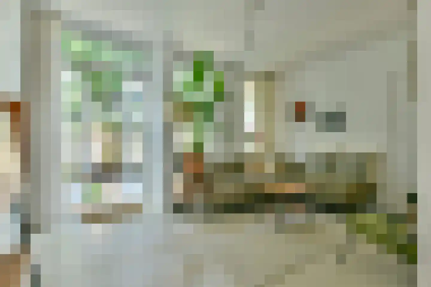 Egelantiersstraat 146 Amsterdam thumbnail 9