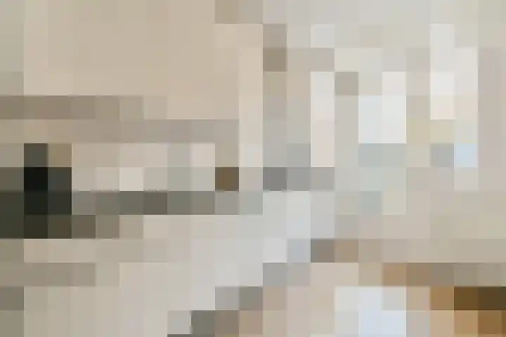 Egelantiersstraat 166 A Amsterdam thumbnail 9