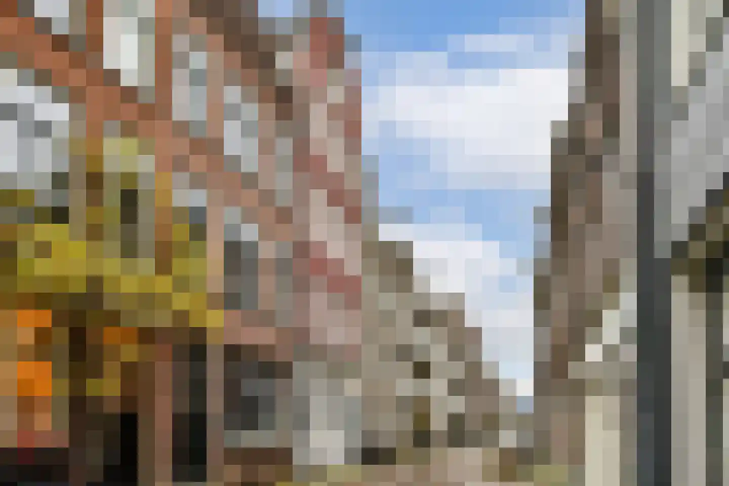 Egelantiersstraat 168 3 Amsterdam