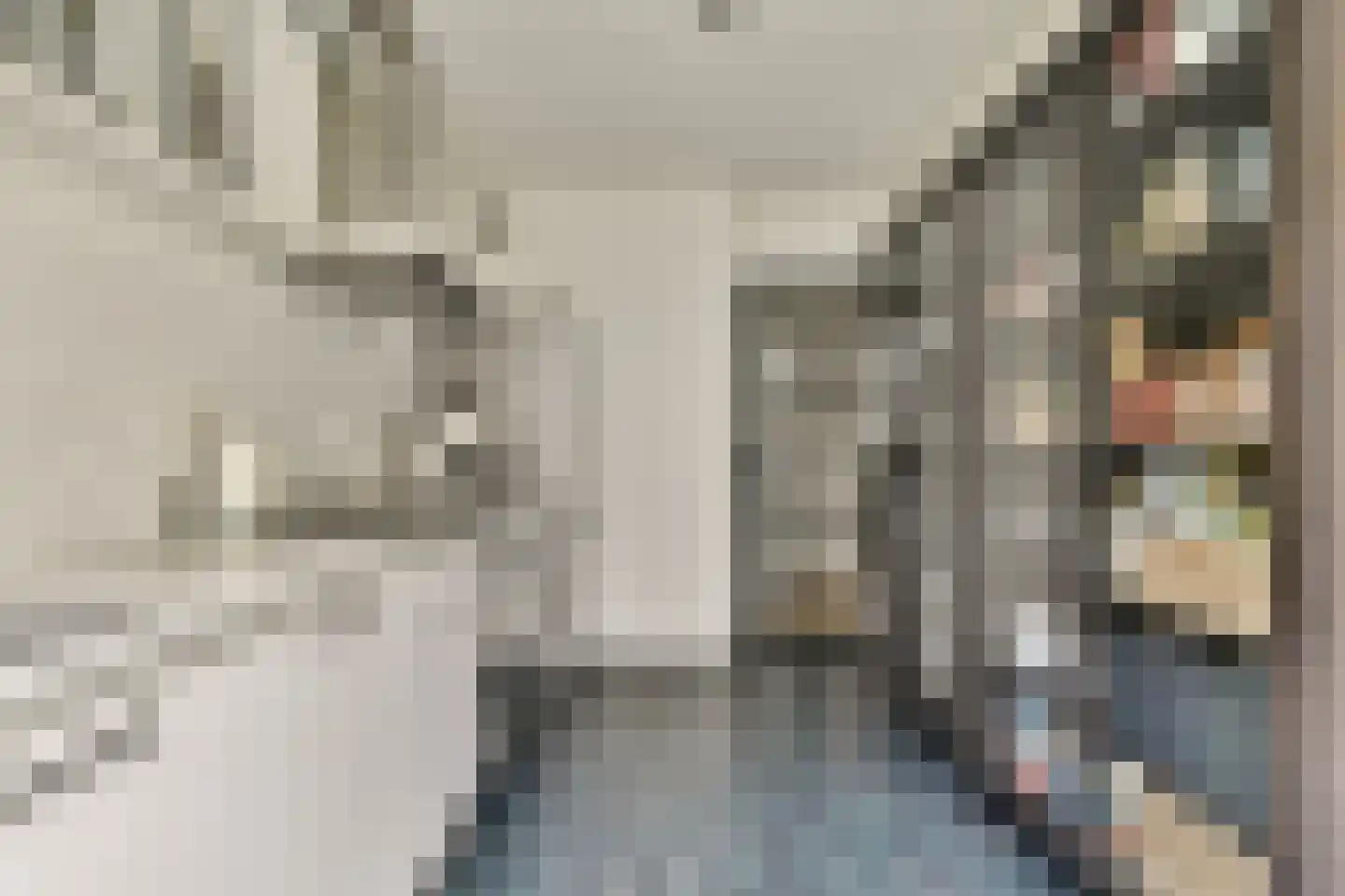Egelantiersstraat 236 B Amsterdam thumbnail 10
