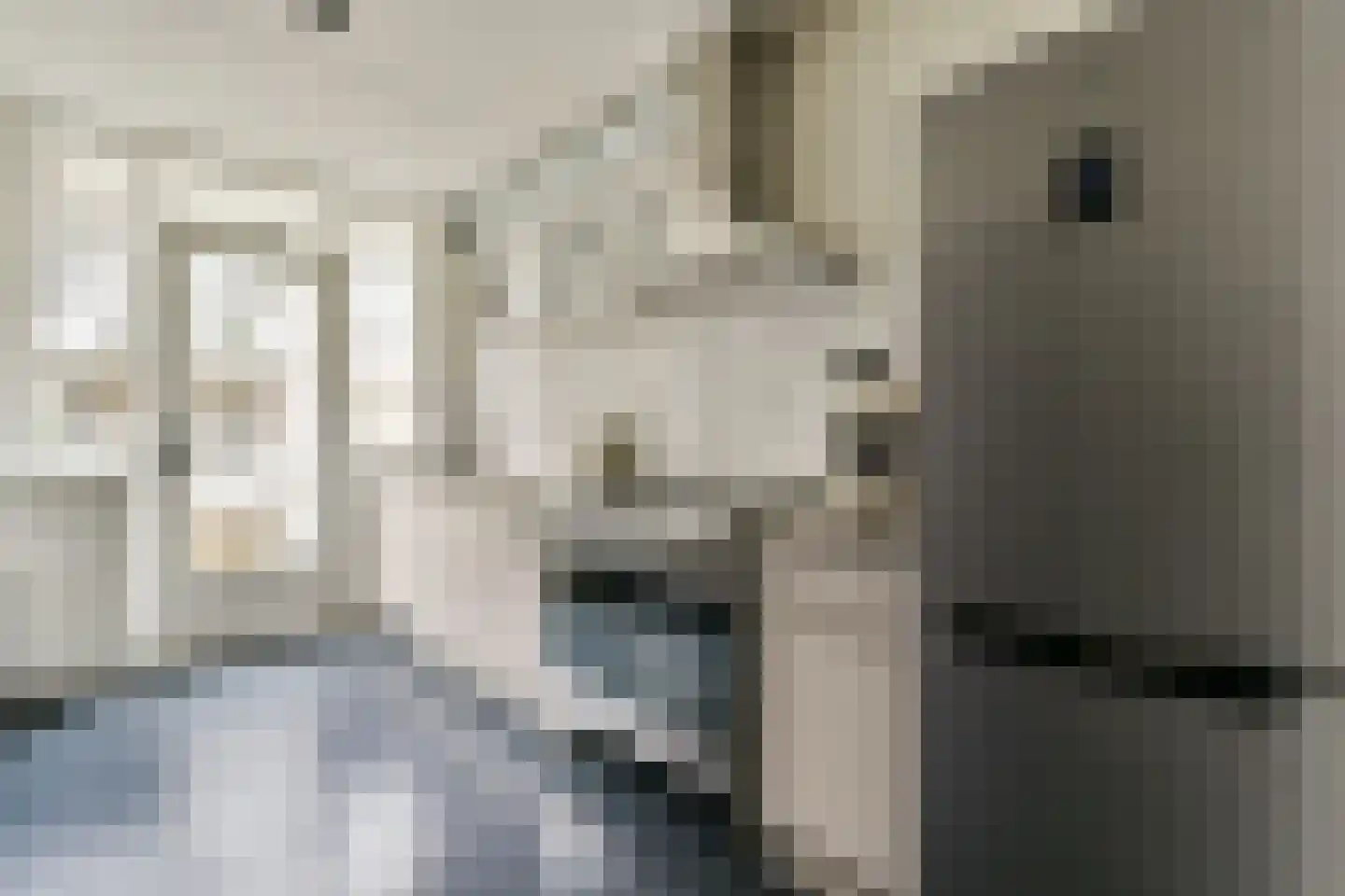 Egelantiersstraat 236 B Amsterdam thumbnail 9