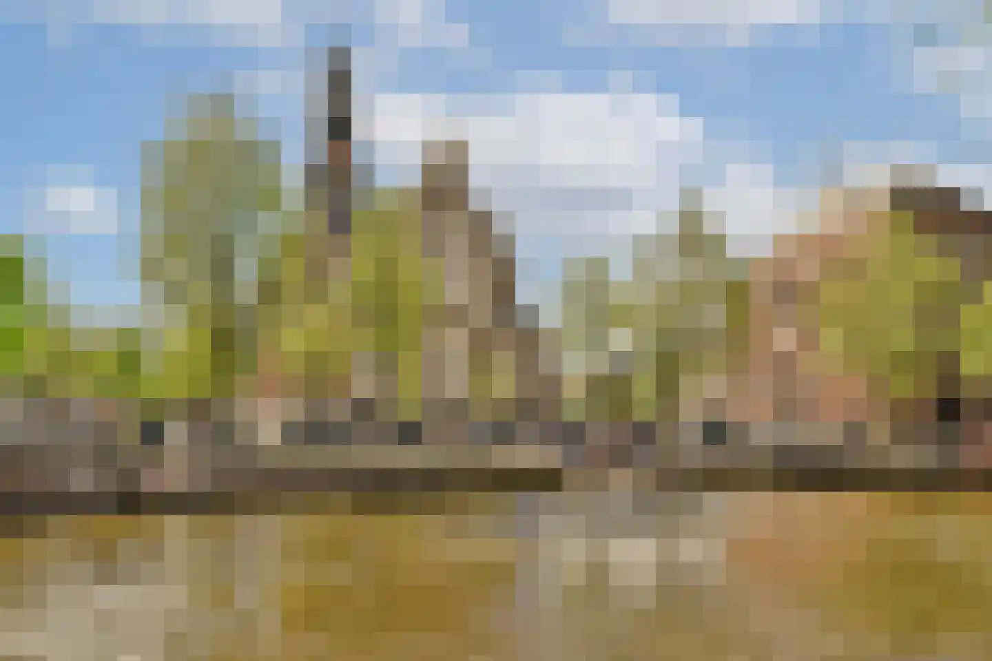 Egelantiersstraat 236 C Amsterdam thumbnail 22