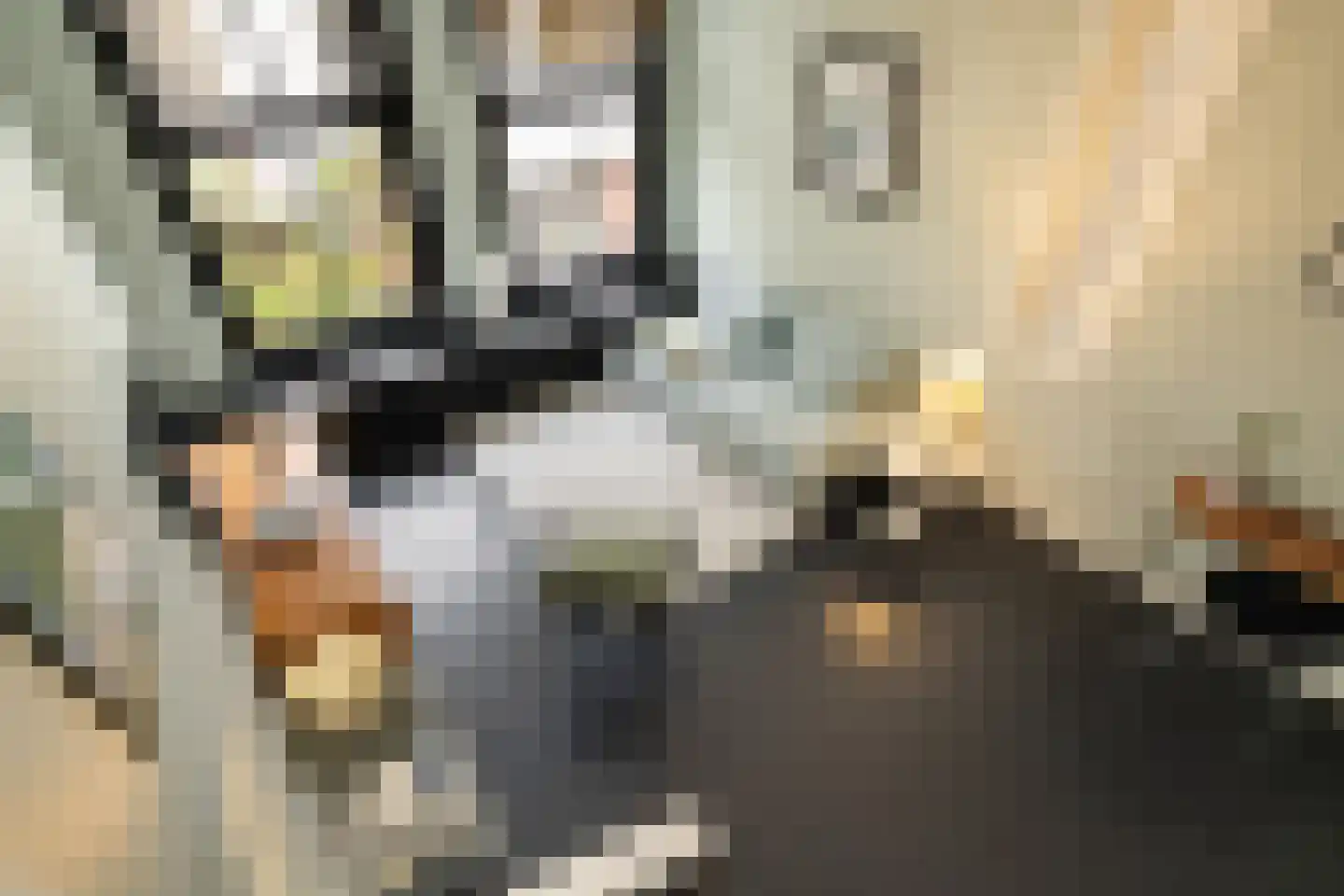 Egelantiersstraat 47 Amsterdam thumbnail 13