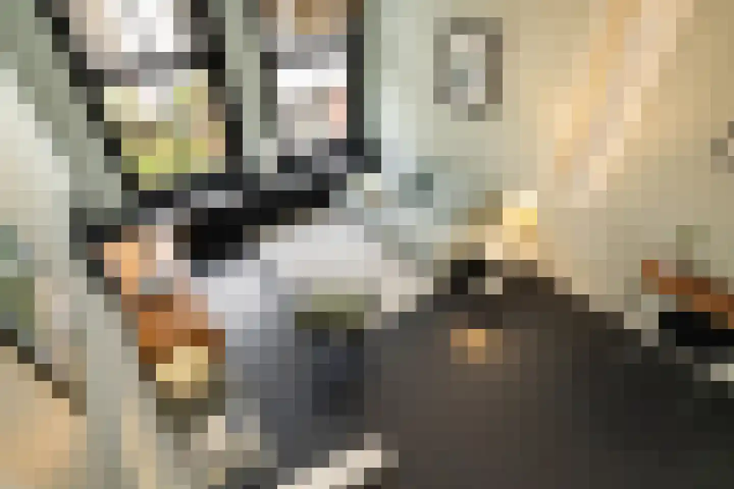 Egelantiersstraat 47 Amsterdam thumbnail 15