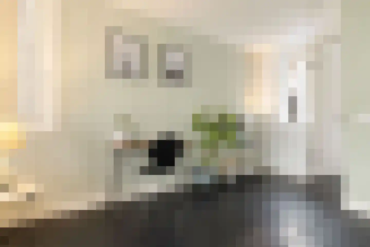 Egelantiersstraat 47 Amsterdam thumbnail 16