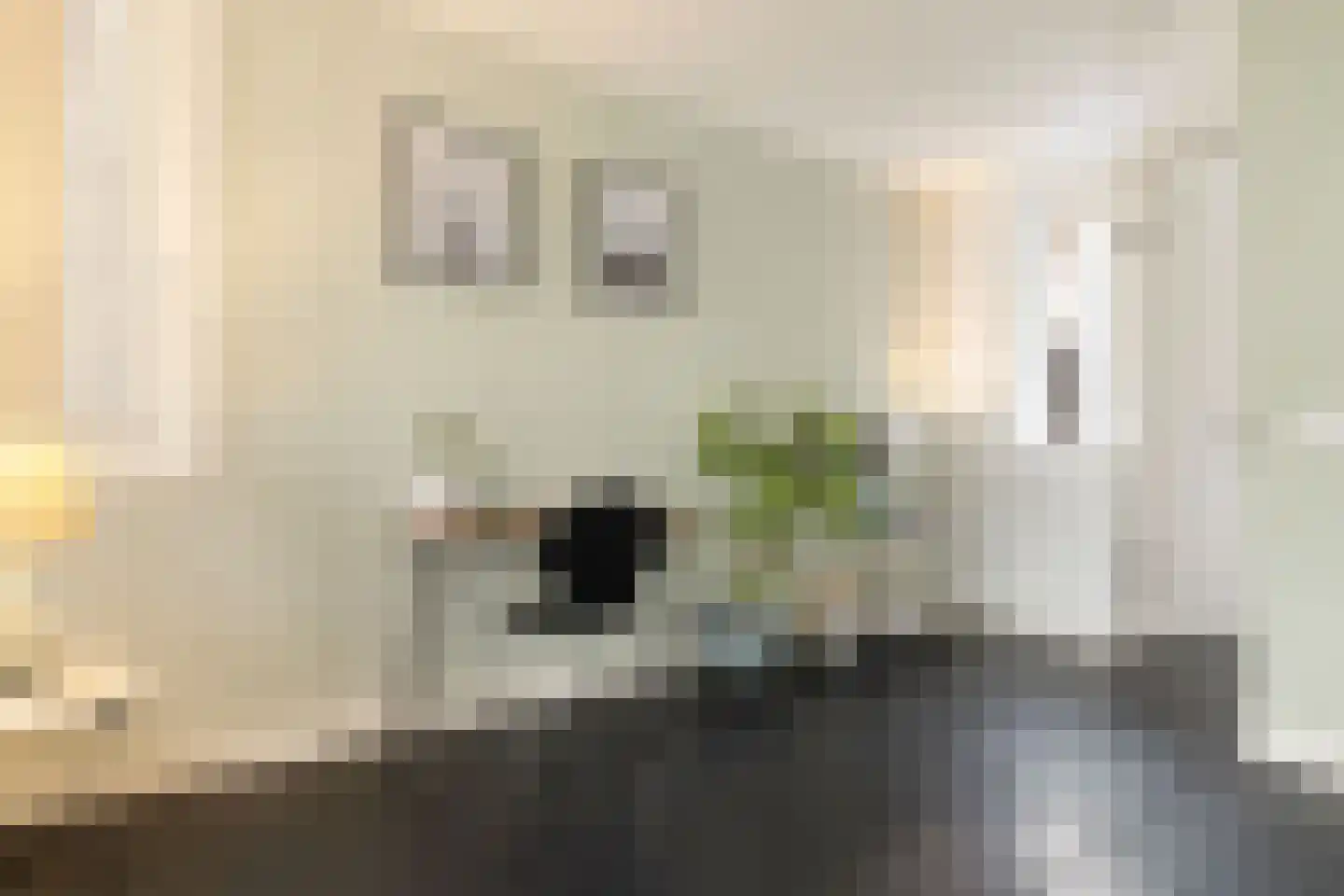 Egelantiersstraat 47 Amsterdam thumbnail 18