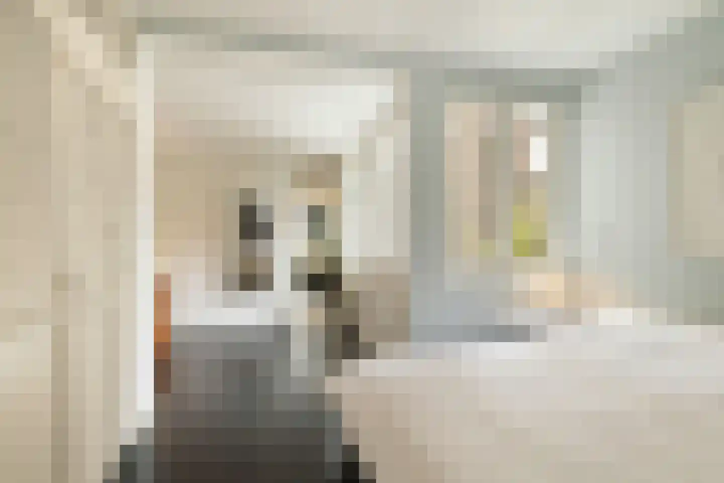 Egelantiersstraat 47 Amsterdam thumbnail 21