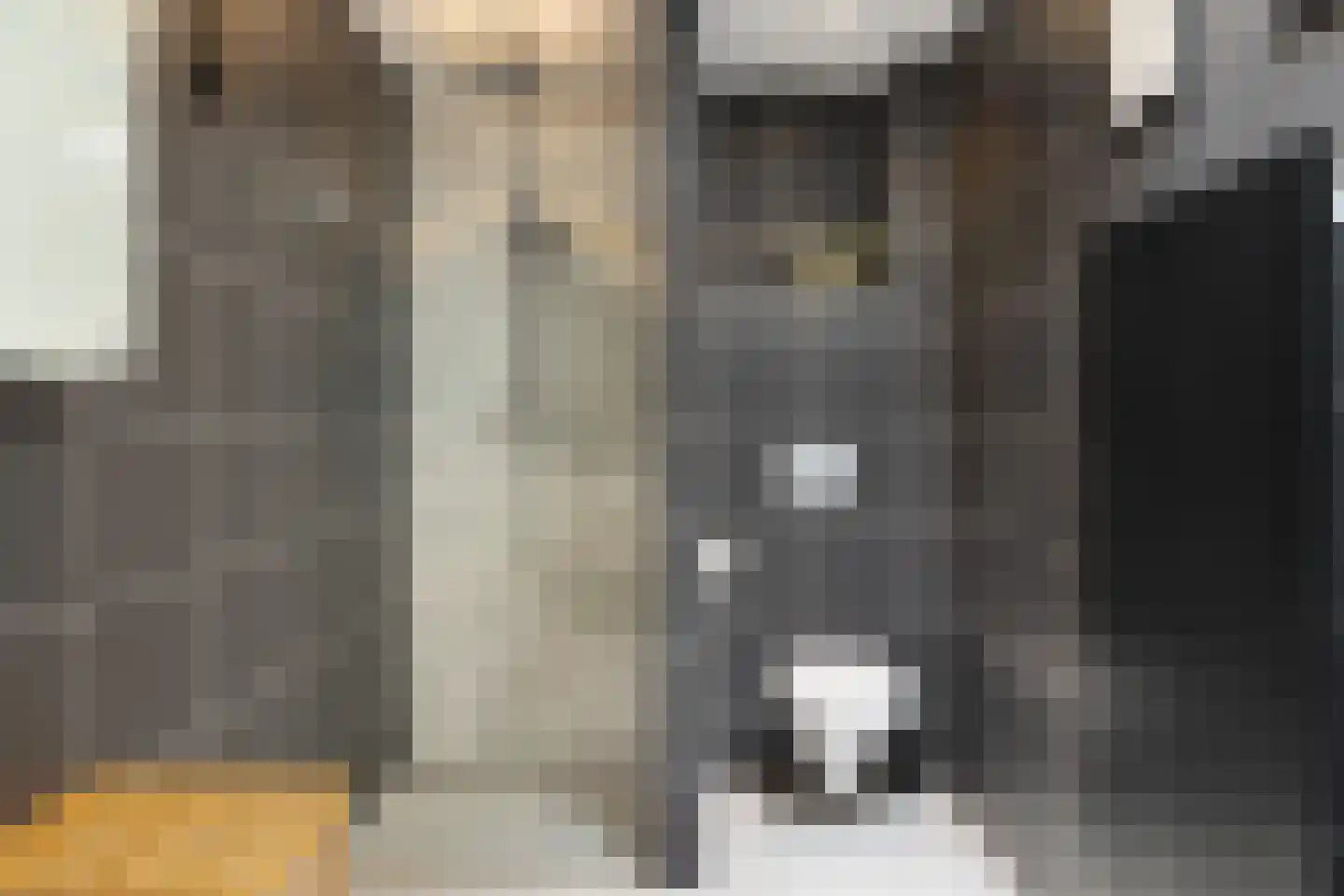 Egelantiersstraat 47 Amsterdam thumbnail 24