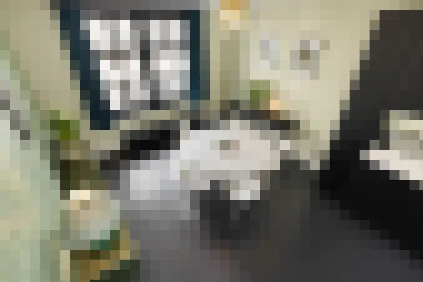 Egelantiersstraat 47 Amsterdam thumbnail 25