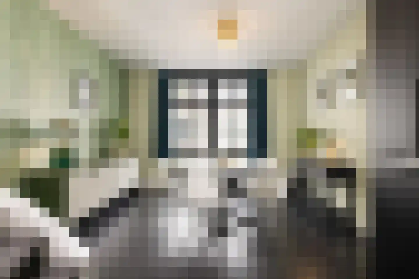 Egelantiersstraat 47 Amsterdam thumbnail 26