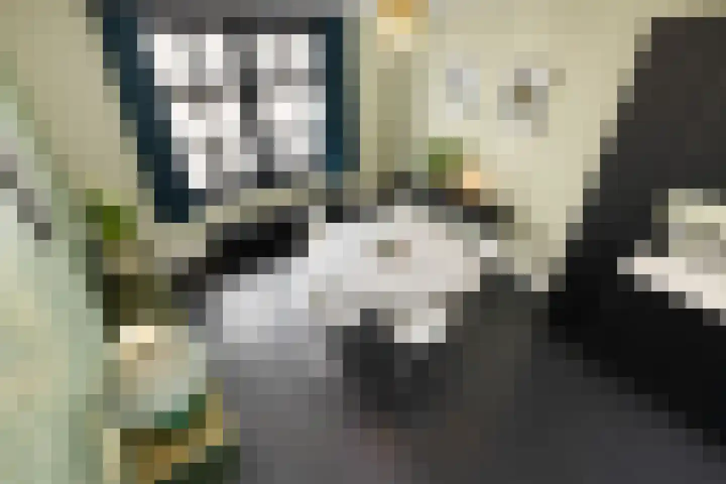 Egelantiersstraat 47 Amsterdam thumbnail 27