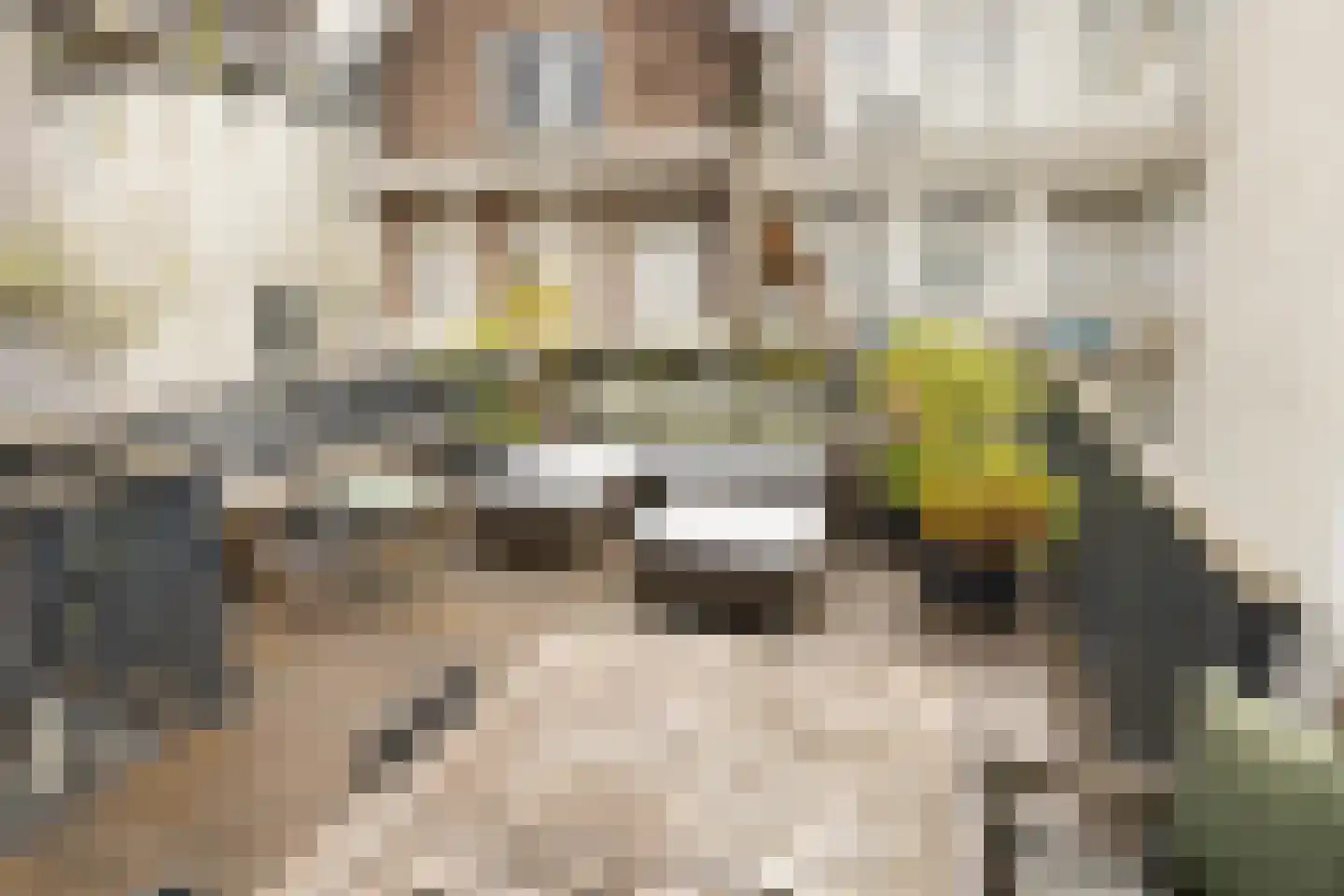 Egelantiersstraat 47 Amsterdam thumbnail 4