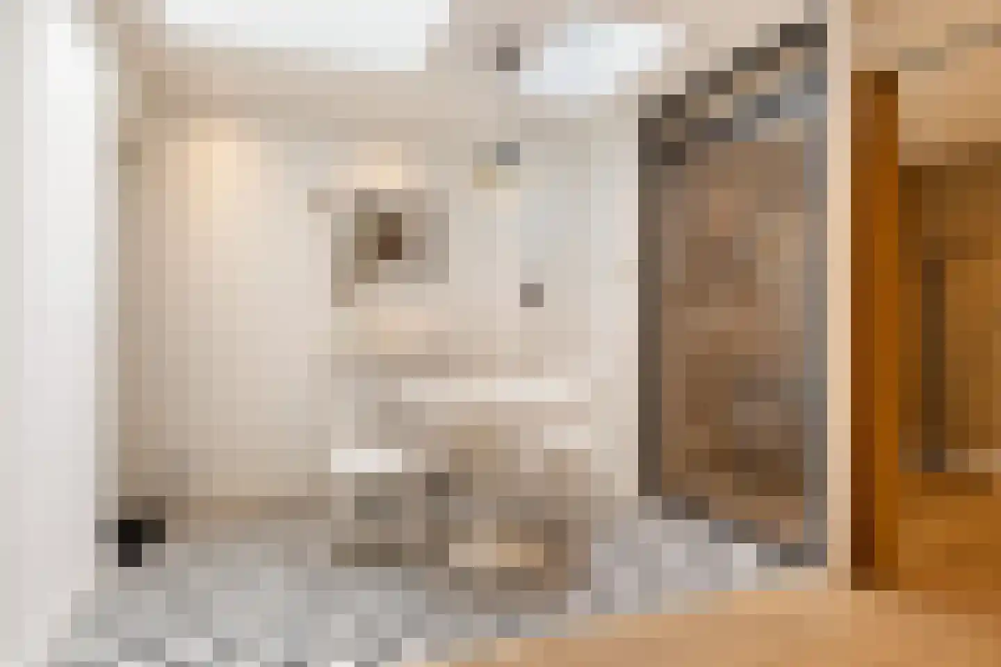 Egelantiersstraat 47 Amsterdam thumbnail 8
