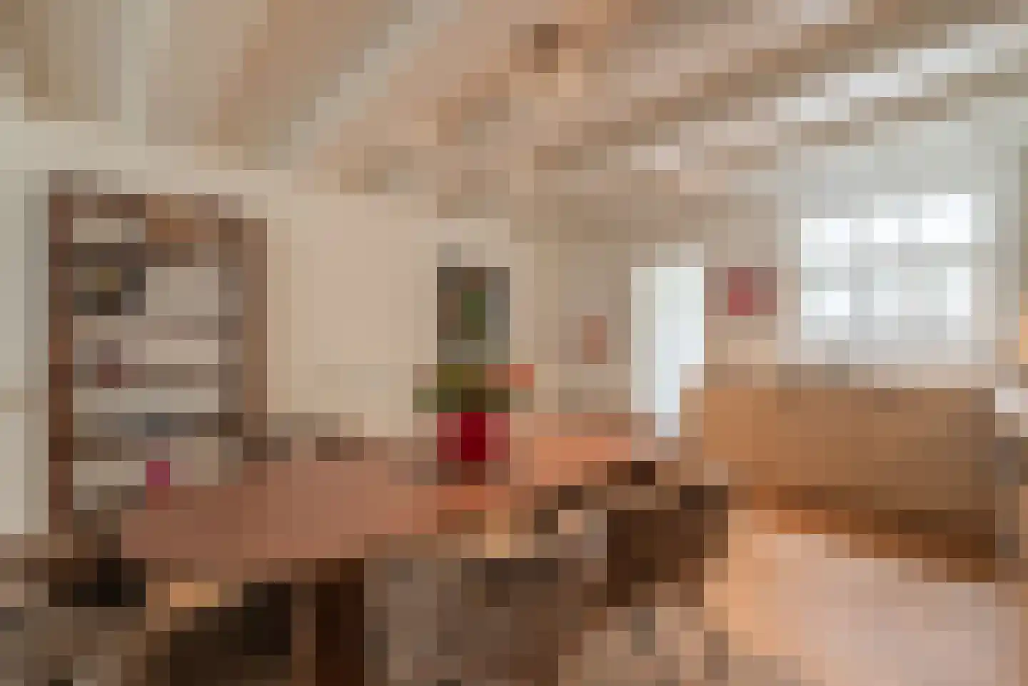 Egelantiersstraat 49 2 Amsterdam thumbnail 13