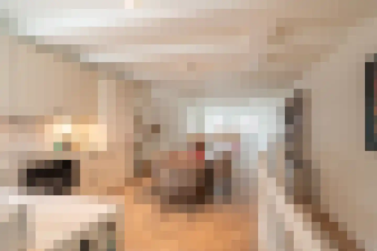 Egelantiersstraat 49 2 Amsterdam thumbnail 14