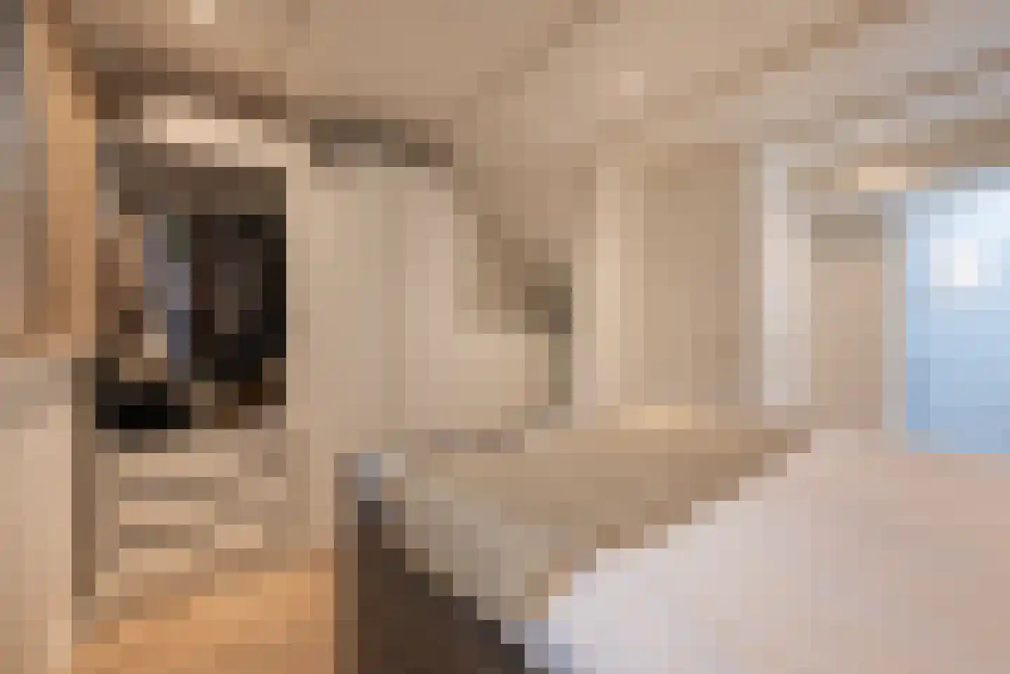 Egelantiersstraat 49 2 Amsterdam thumbnail 21
