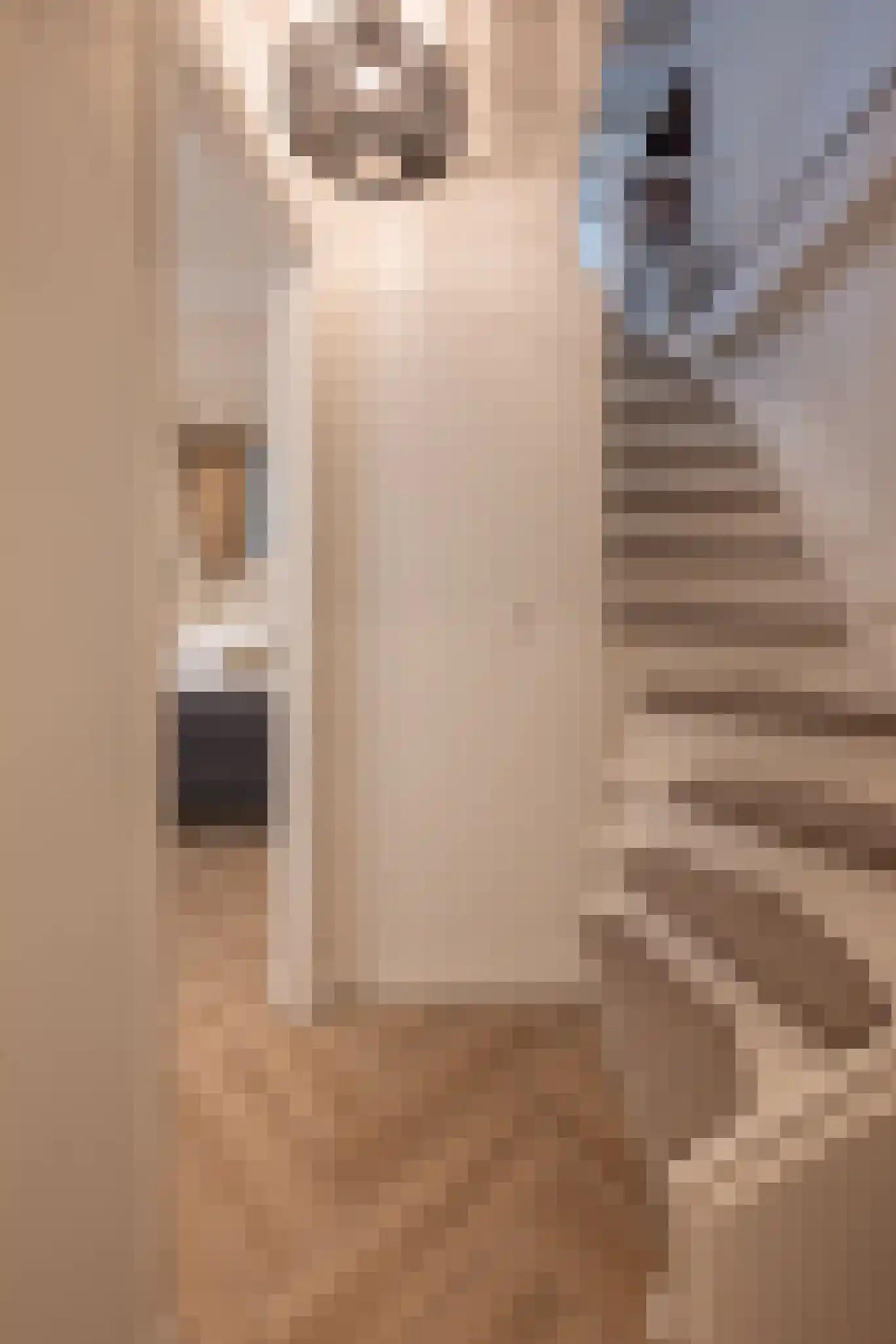 Egelantiersstraat 49 2 Amsterdam thumbnail 24