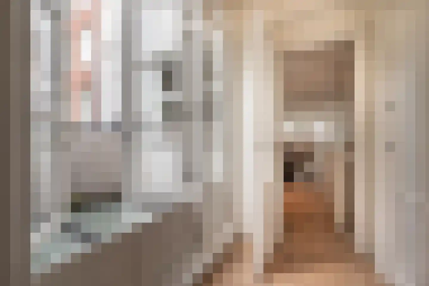 Egelantiersstraat 49 2 Amsterdam thumbnail 25