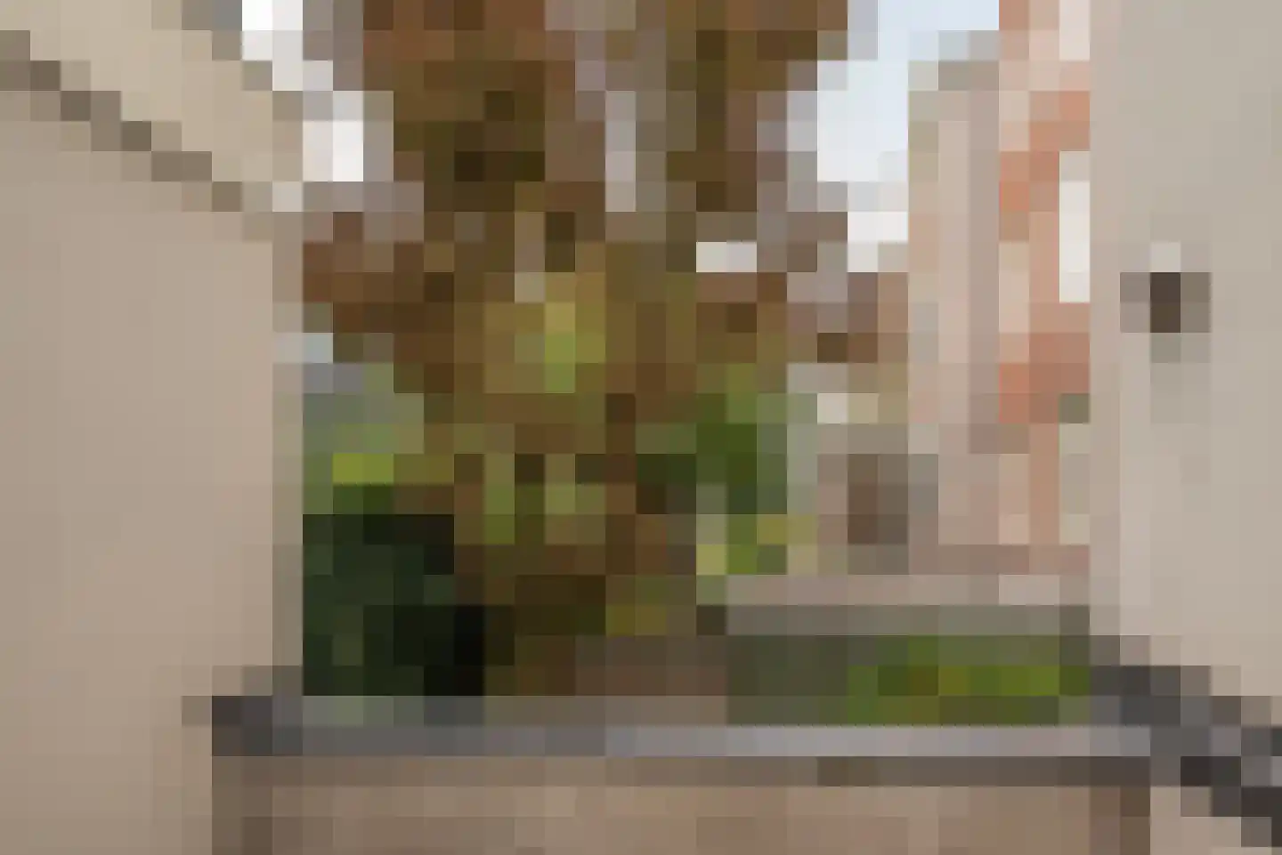 Egelantiersstraat 49 2 Amsterdam thumbnail 26
