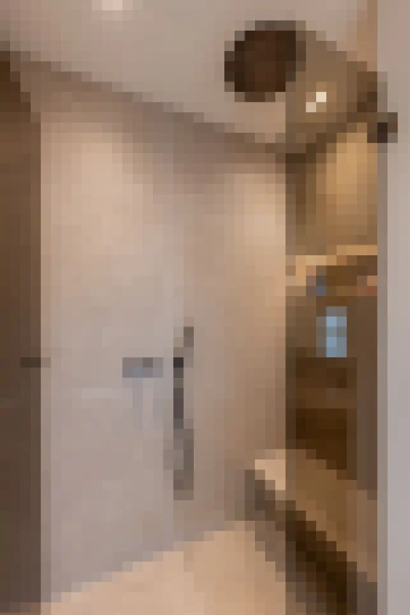 Egelantiersstraat 49 2 Amsterdam thumbnail 29
