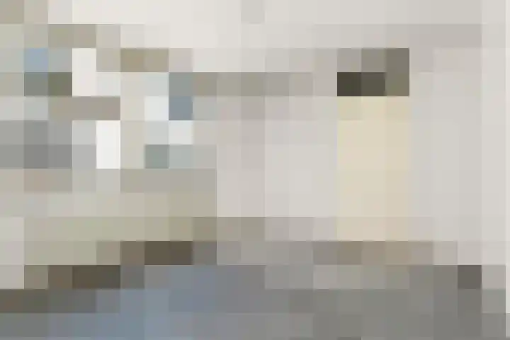 Egelantiersstraat 63 D Amsterdam thumbnail 11