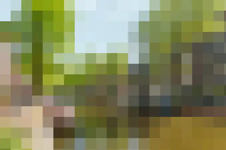 Egelantiersstraat 63 D Amsterdam thumbnail 21