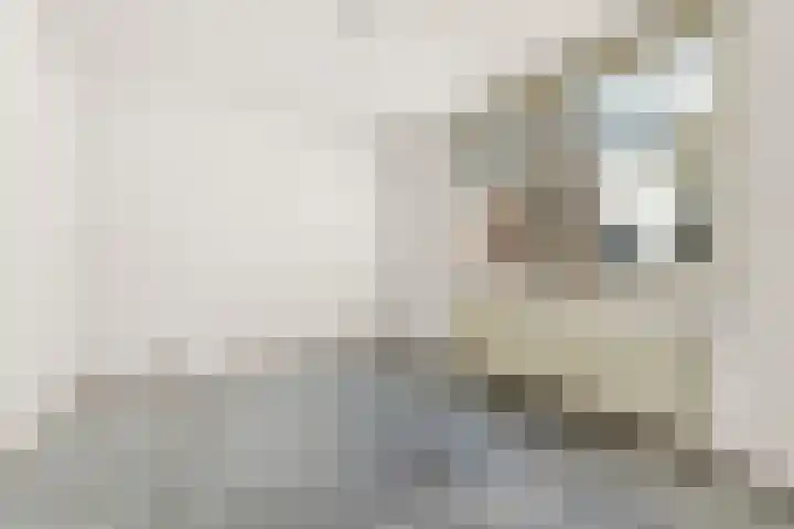 Egelantiersstraat 63 D Amsterdam thumbnail 5