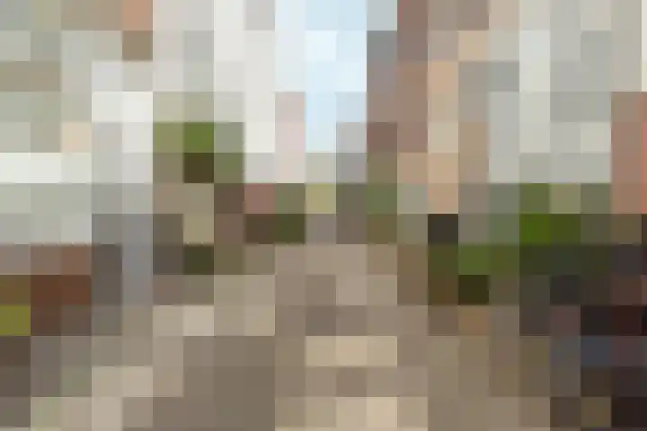 Egelantiersstraat 63 D Amsterdam thumbnail 7